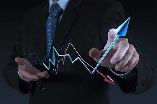 拓商之道 拼多多運營實戰攻略，告別“沒流量”困境的站內推廣秘笈